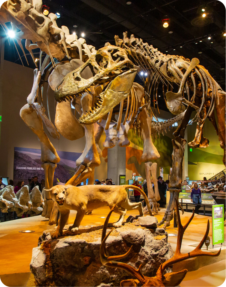 Perot Museum of Nature & Science